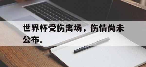 haha体育娱乐平台入口-世界杯受伤离场，伤情尚未公布。