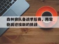 haha体育官方app下载-森林狼队备战季后赛，阵容稳固迎接新的挑战