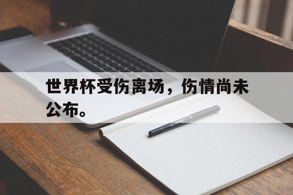 世界杯受伤离场，伤情尚未公布。